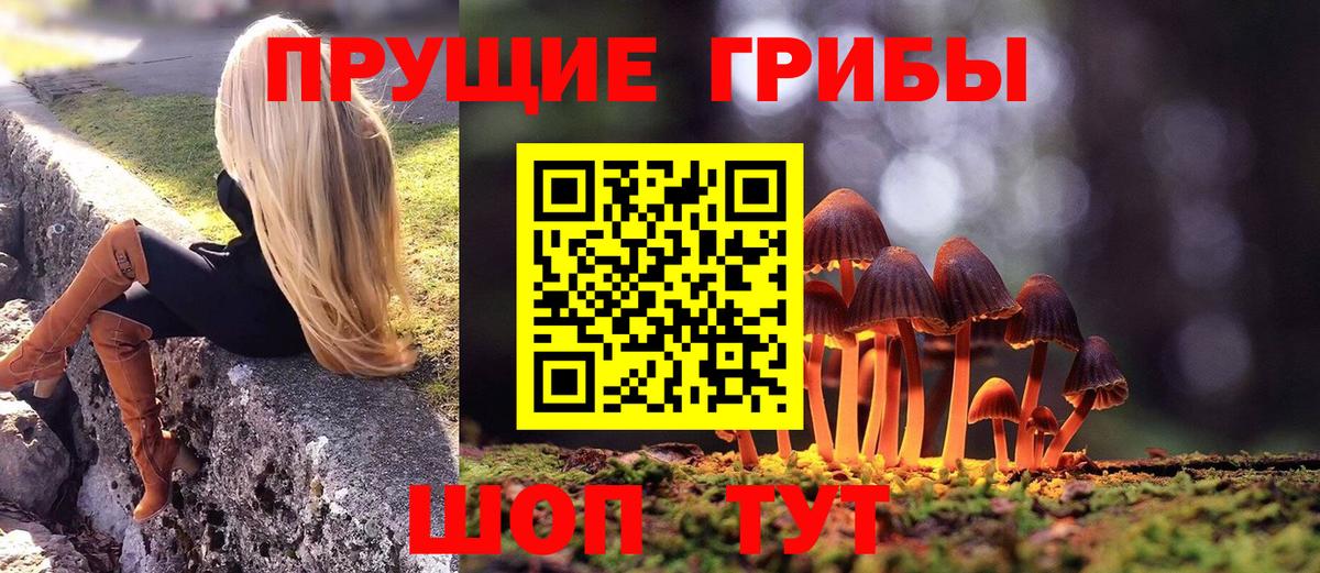 Иркутск  Псилоцибиновые грибы мицелий  Вход с VPN 